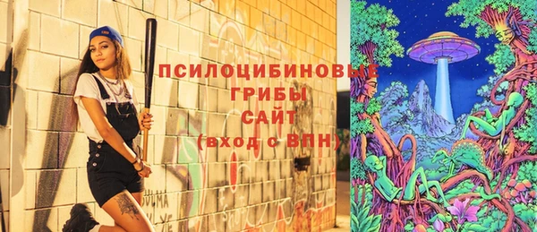 СК Балахна