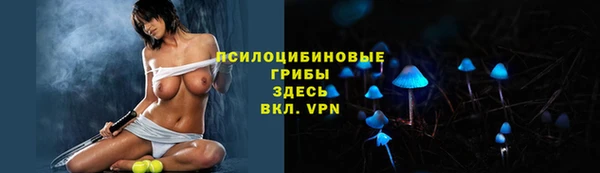 СК Балахна