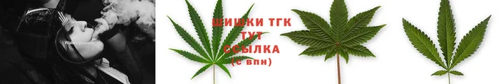 СК Балахна