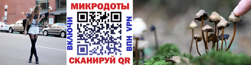 хочу   hydra зеркало  Псилоцибиновые грибы Cubensis  Новокубанск 
